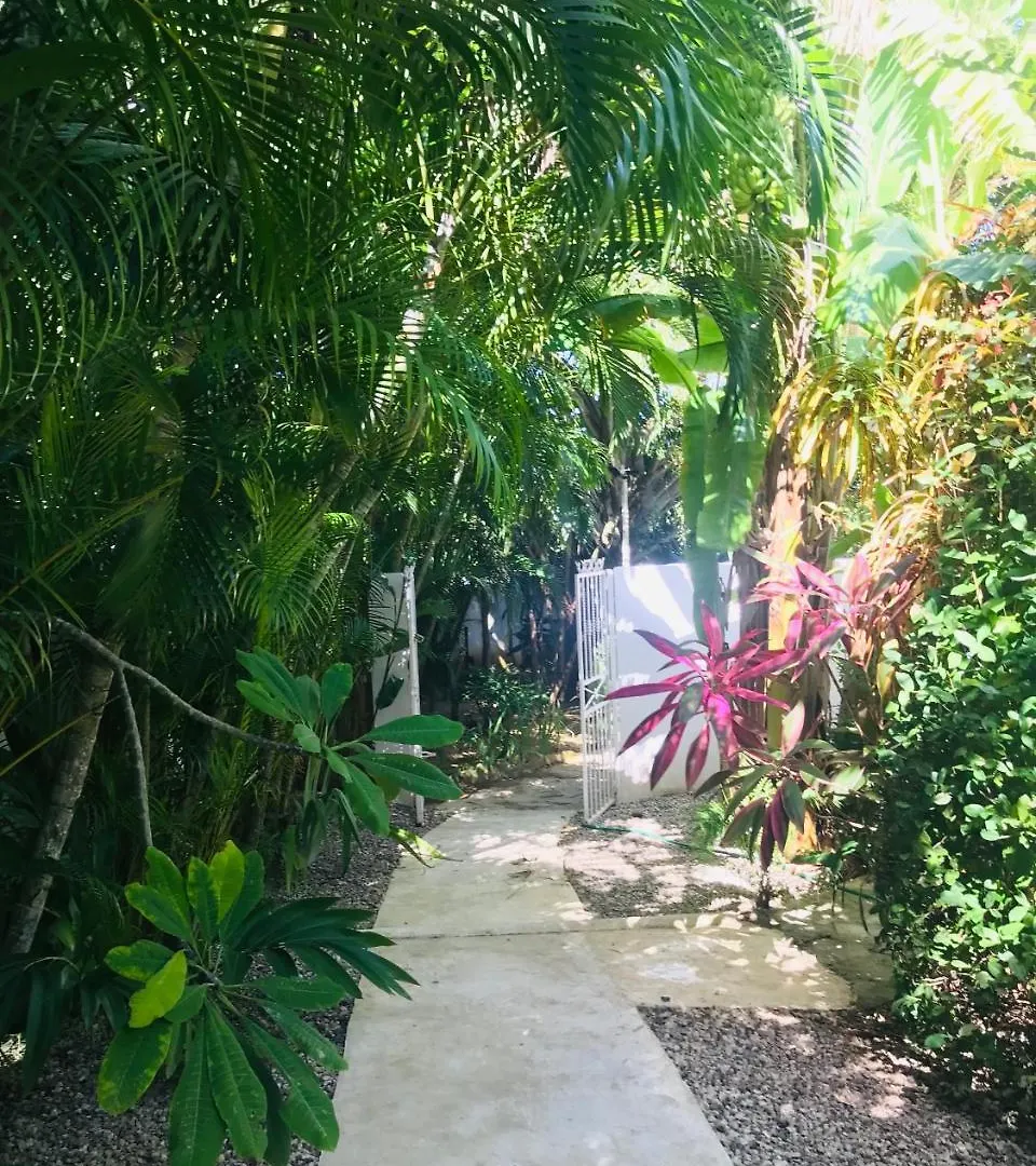 Surf Blue Cabarete Villa 0*,