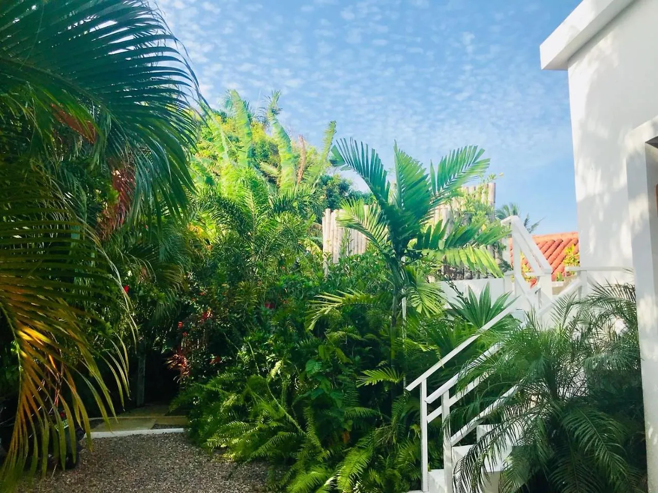 Surf Blue Cabarete Villa Repubblica Dominicana