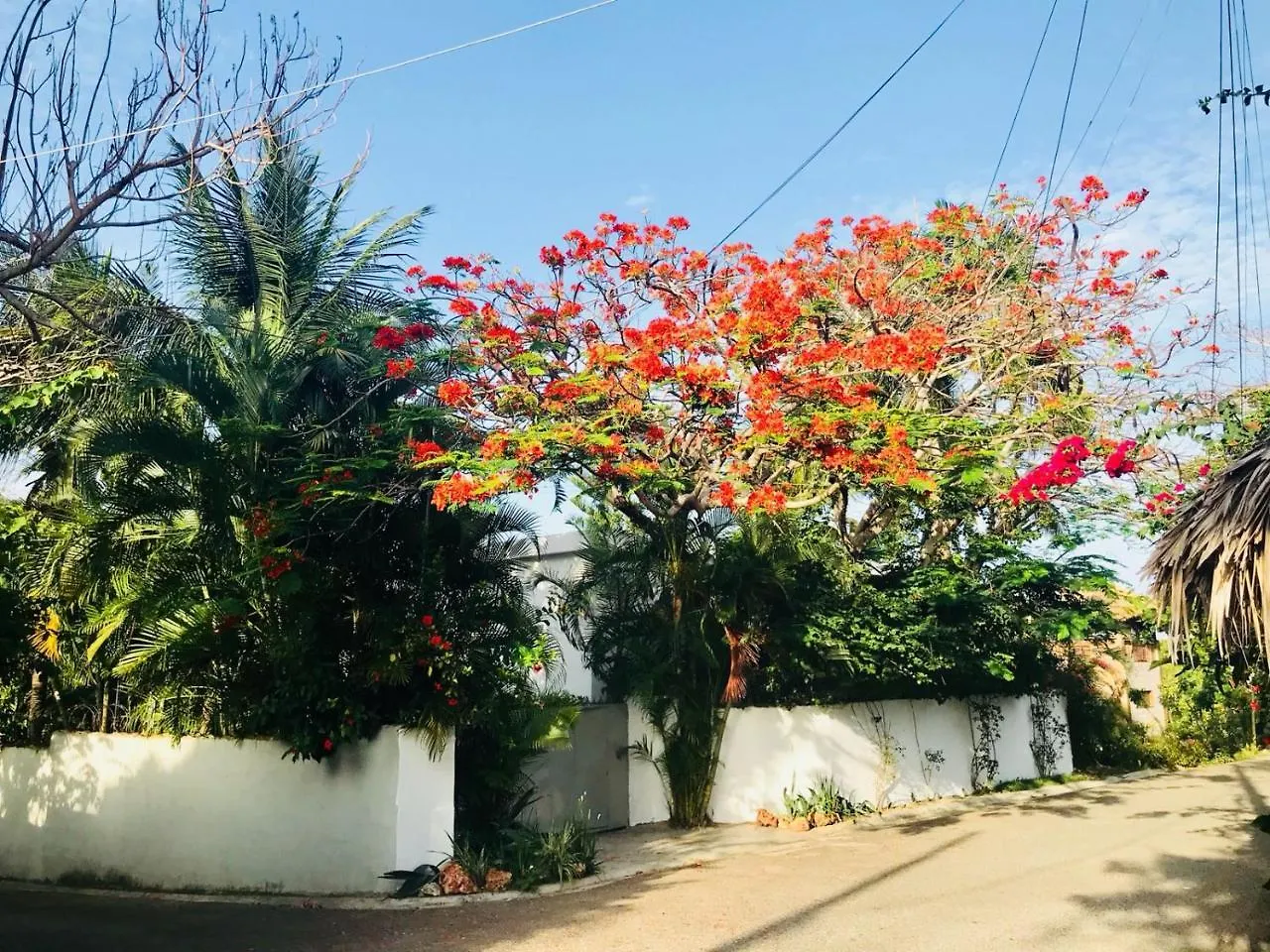 Surf Blue Cabarete Villa 0*,  Repubblica Dominicana