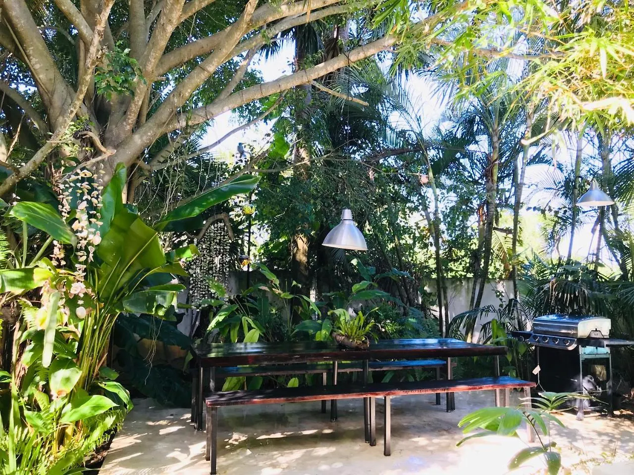 Surf Blue Cabarete Villa Casa vacanze